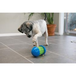  Hund der leger med "Spin It" fra KONG