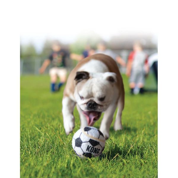 KONG Sports Ball og hund