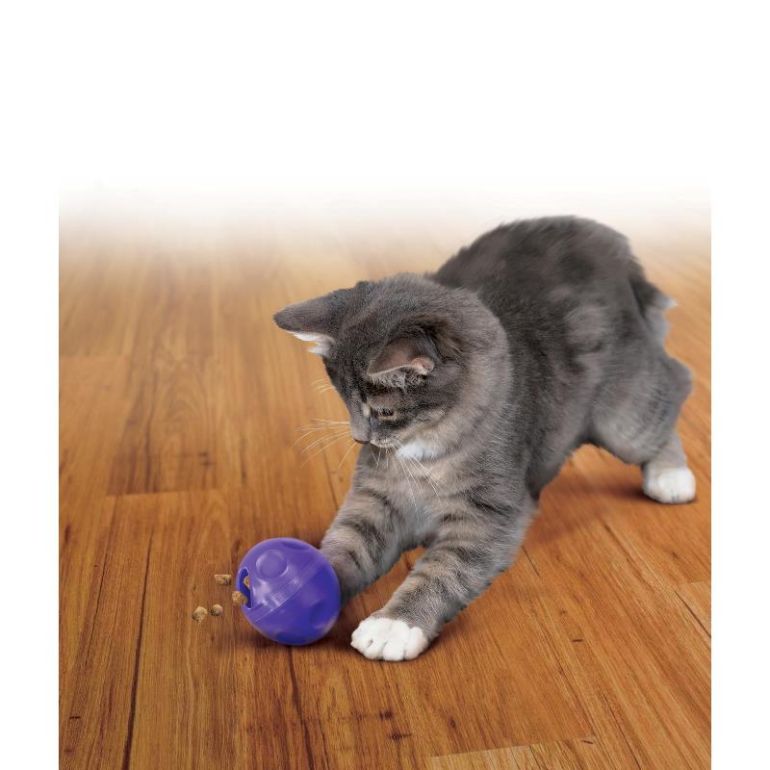 KONG Active Treat Ball Cat Toy