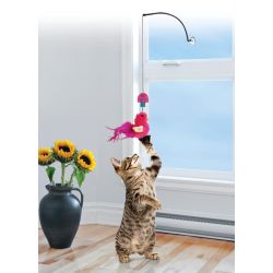 Kat leger med KONG Cat Window Teaser