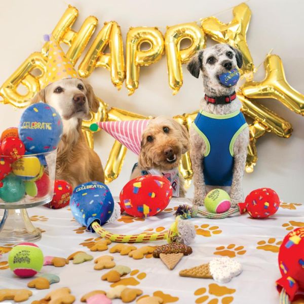 KONG Occasions Birthday Balloon - Rød - Hundelegetøj