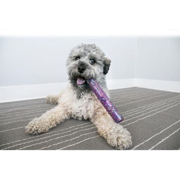 Hund med KONG hunelegetøj -Squeezz Confetti Stick