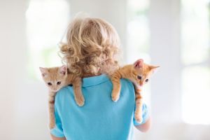 Børnevenlige katteracer