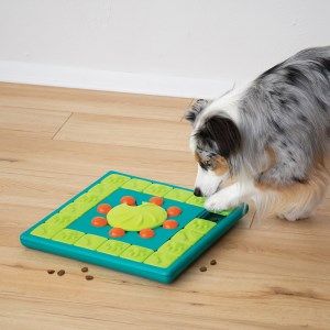 Multipuzzle og hund