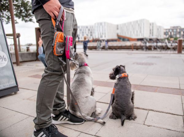 Dog Copenhagen Pouch Organizer