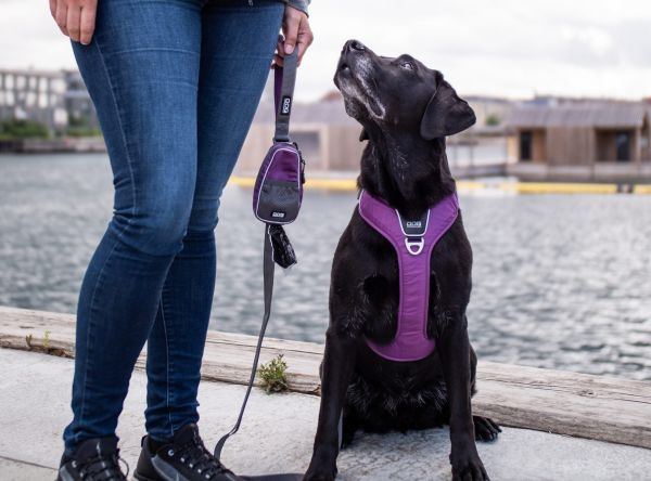 Dog Copenhagen Pouch Organizer - Harness Comfort Pro - Purple Passion