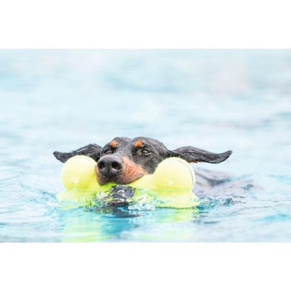 Hund svømmer med KONG AirDog Squeaker Bone Tennisbold