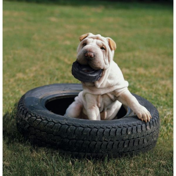 KONG Tyres og hund