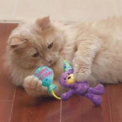 Kat leger med KONG Cat Occasions Birthday Teddy