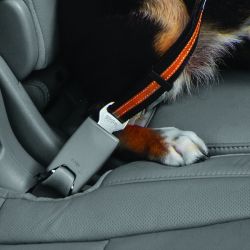 Kurgo Sikkerhedssele Strop til fastgørelse af hund i bil, orange