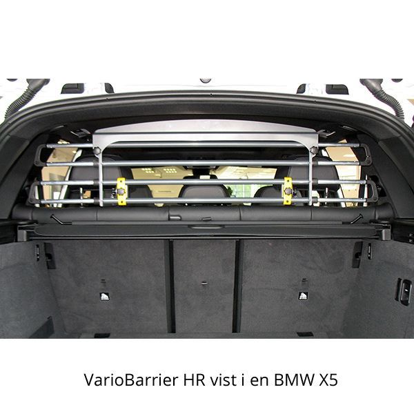 MIMSafe VarioBarrier Headrest, BMW
