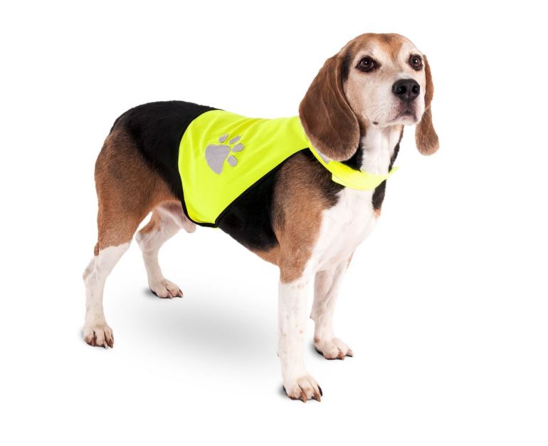 lomme Havslug Logisk Safety vest i small – Kvalitets sikkerhedsvest til din hund