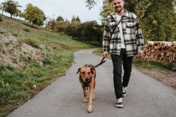 Hunter Maldon Safety Hundesele
