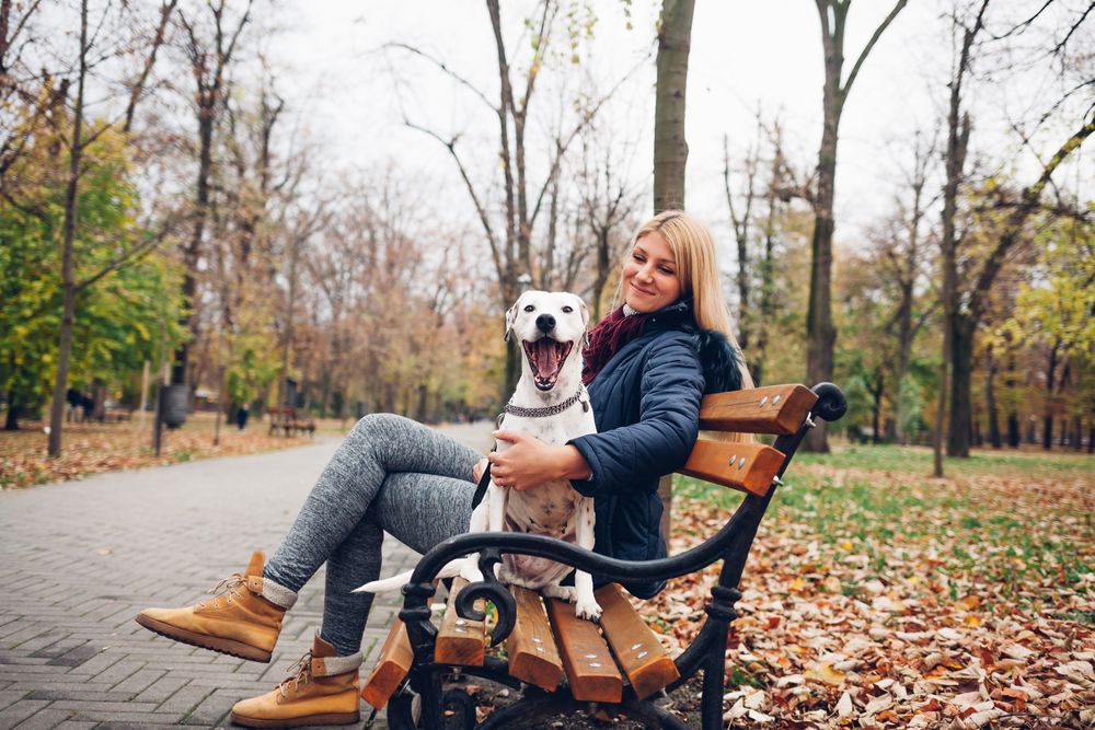 Hund vs. mennesker