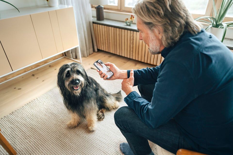 85 procent undgår akut behandling efter digital vurdering af kæledyret